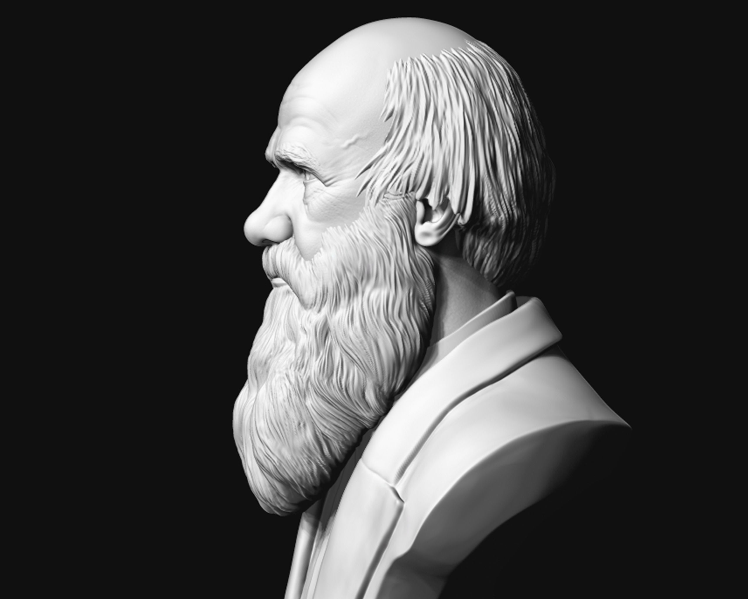 Charles Darwin portrait sculpture 3D print model_8