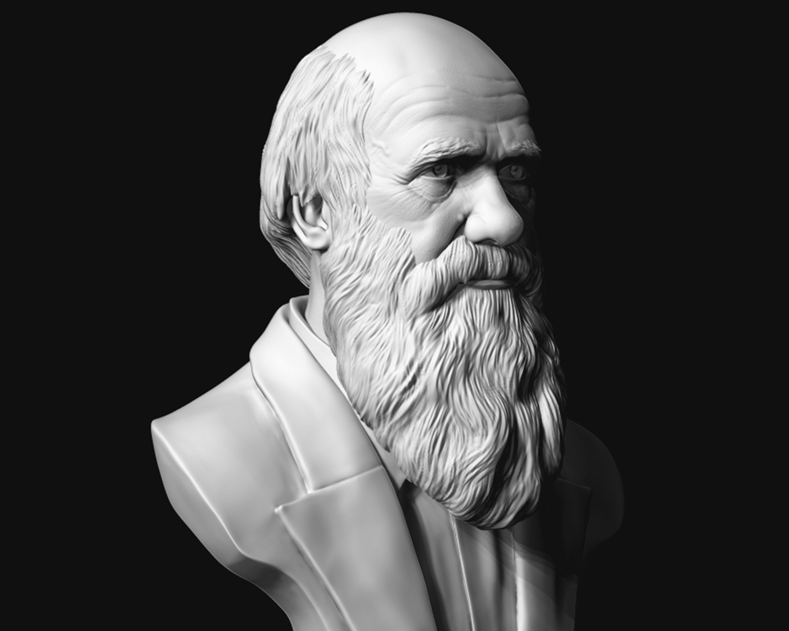 Charles Darwin portrait sculpture 3D print model_4