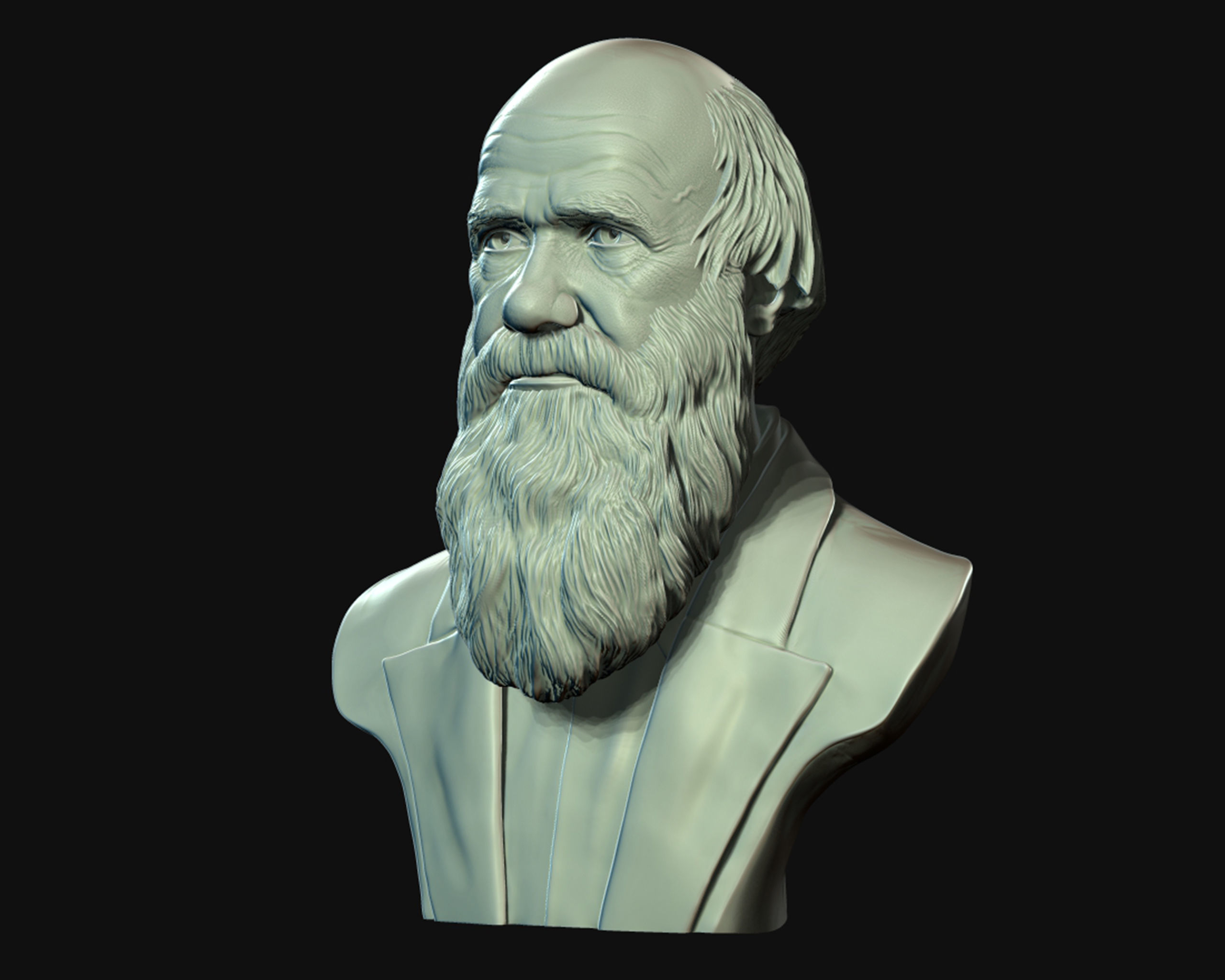 Charles Darwin portrait sculpture 3D print model_12