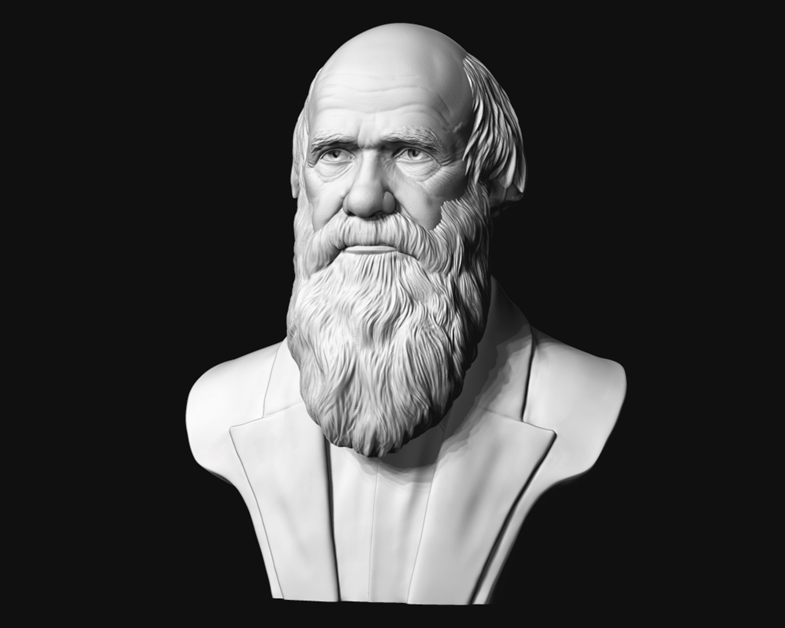 Charles Darwin portrait sculpture 3D print model_6