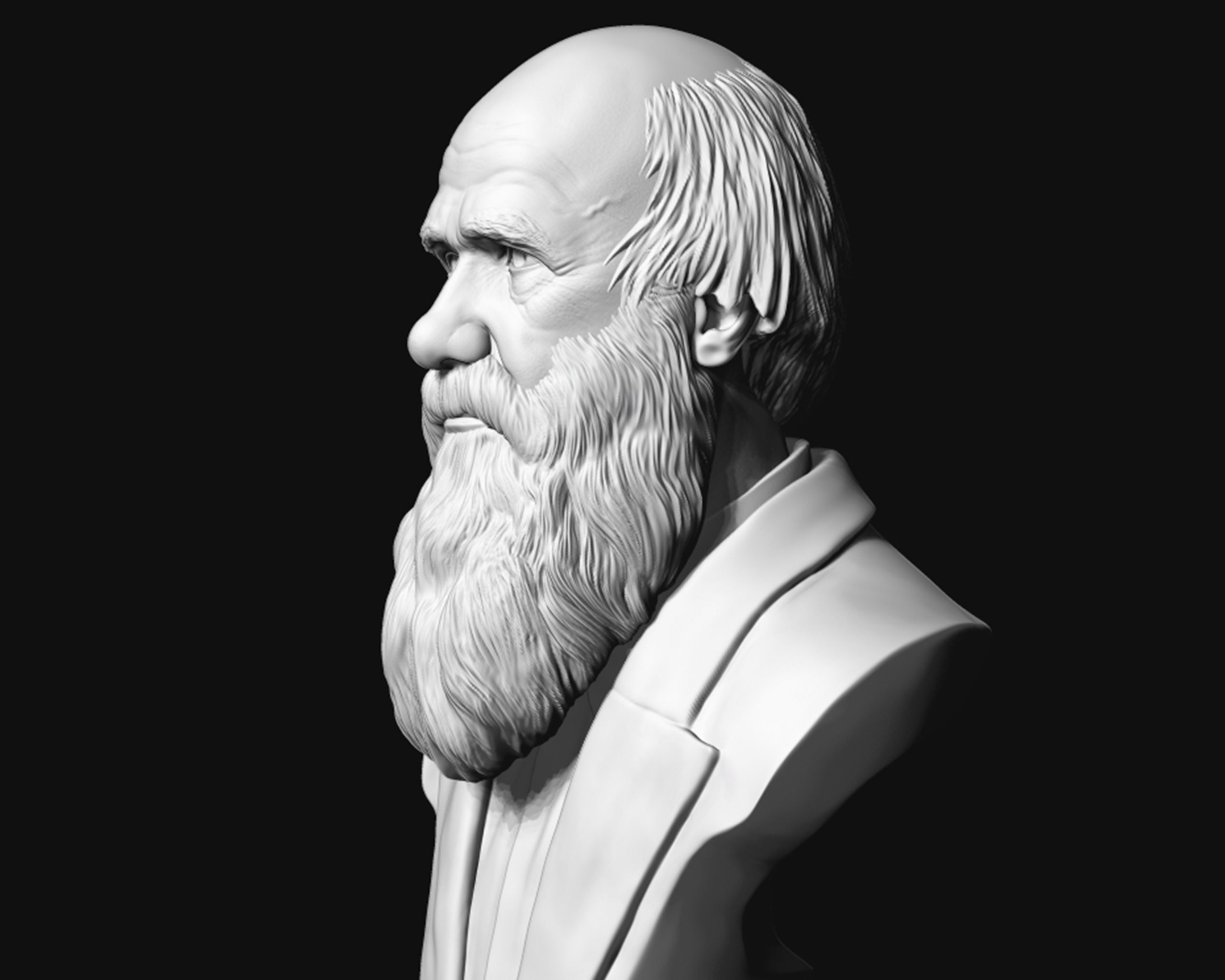 Charles Darwin portrait sculpture 3D print model_7
