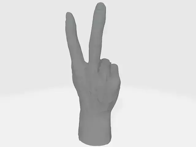 hand figures set 3D print model