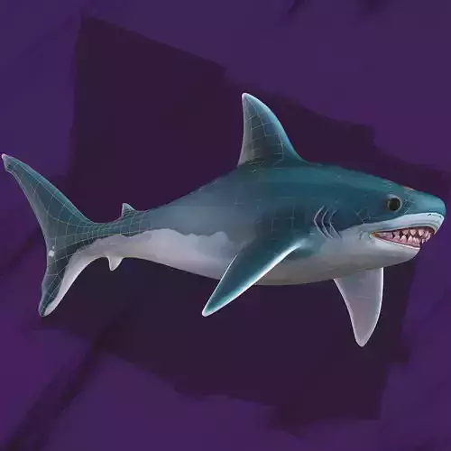 3D Stylized Shark