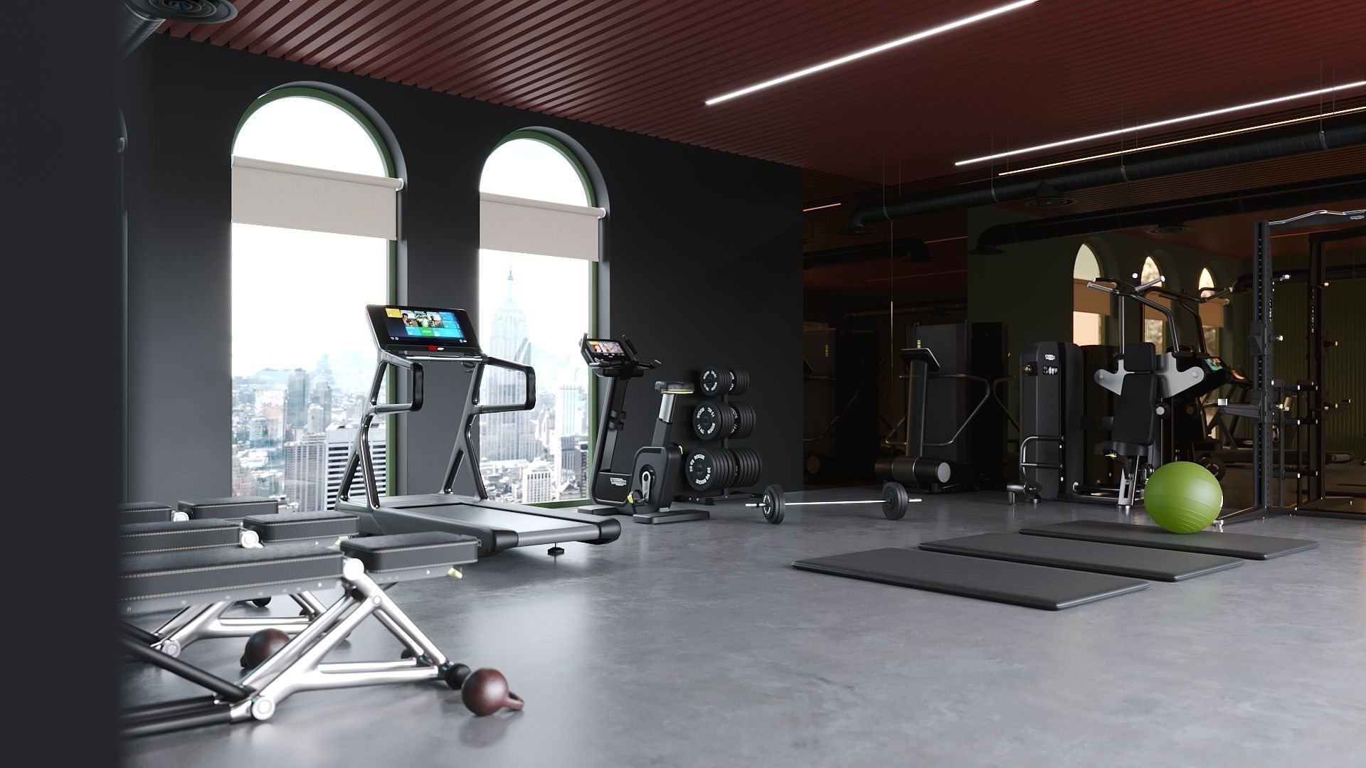 ProVis3D 024 - Gym Room 3D model_2