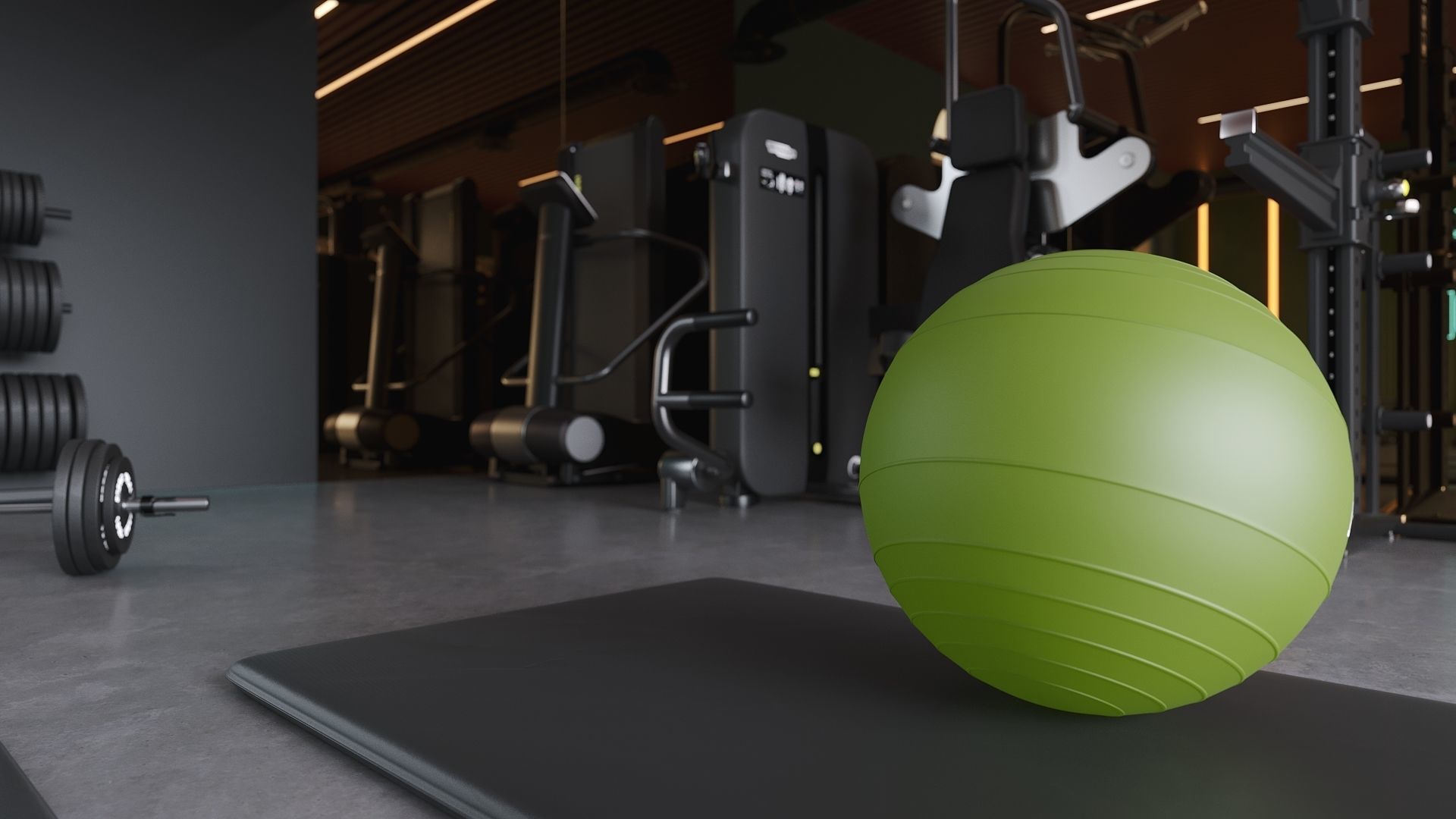 ProVis3D 024 - Gym Room 3D model_5