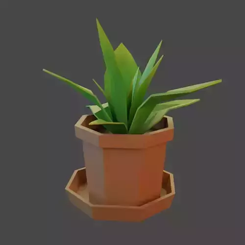 A room plant in a brown pot
