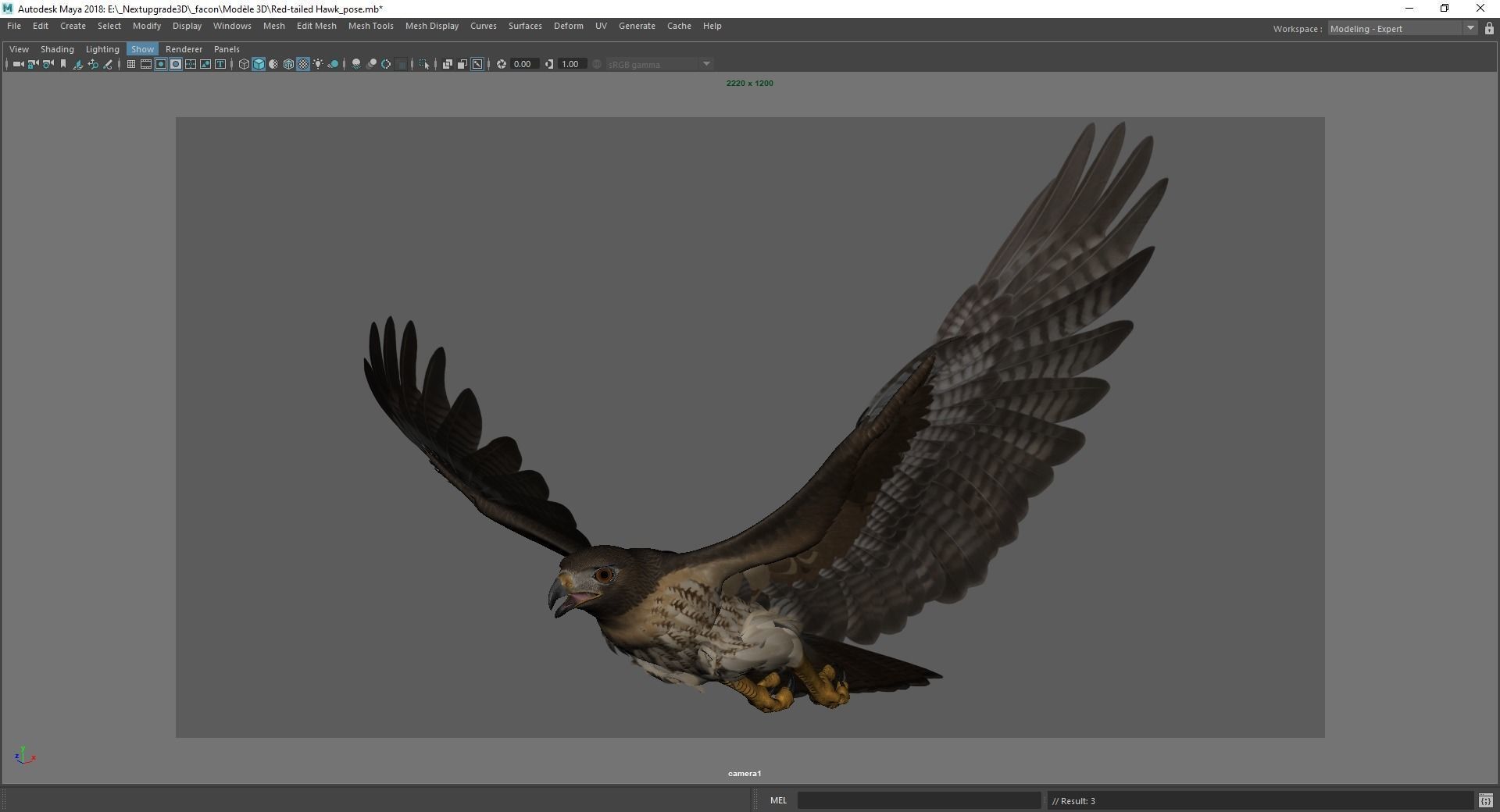 Stunning 3D Model of a Majestic Falcon Wildlife Enthusiasts Low-poly 3D model_17