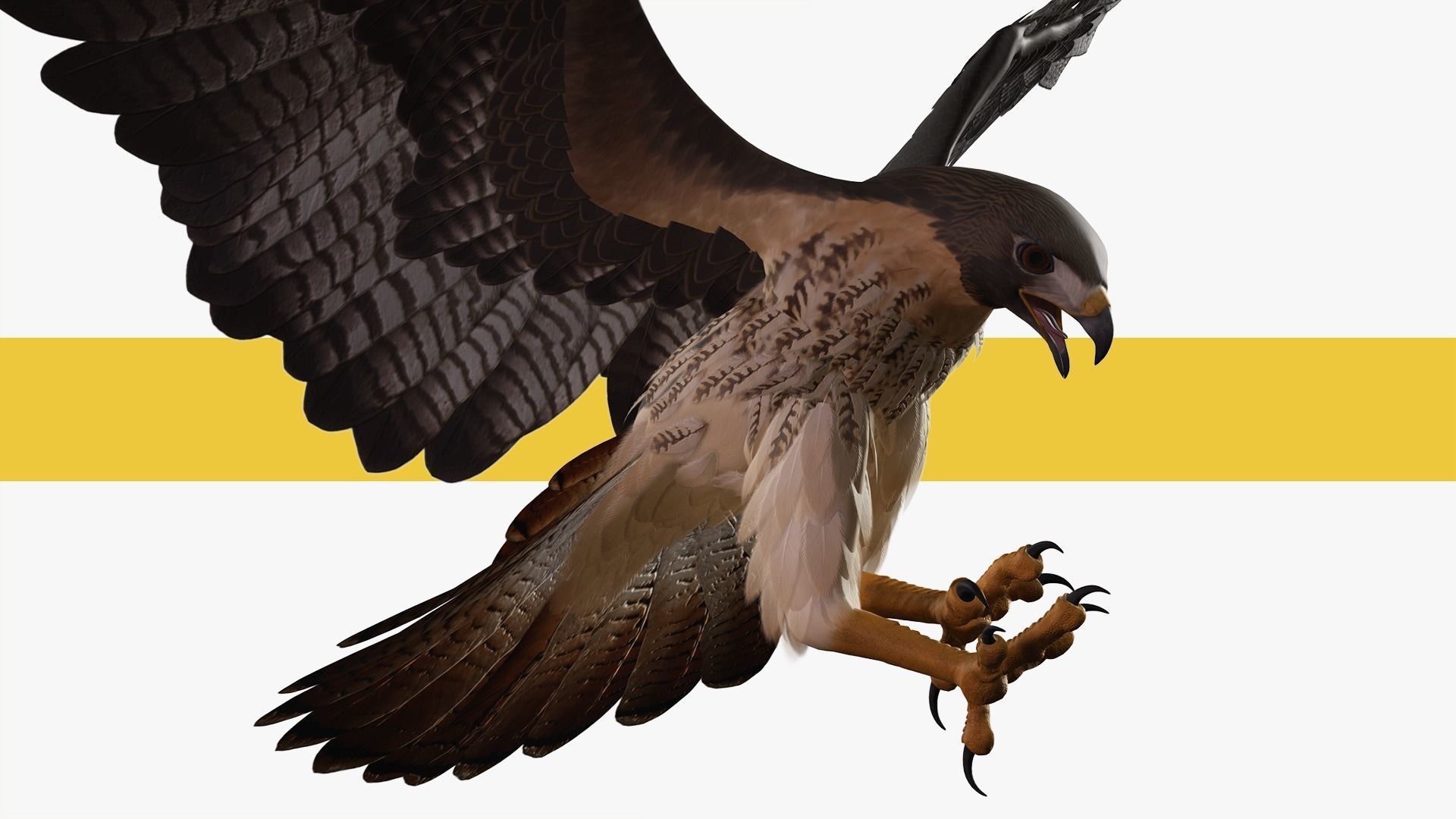Stunning 3D Model of a Majestic Falcon Wildlife Enthusiasts Low-poly 3D model_12