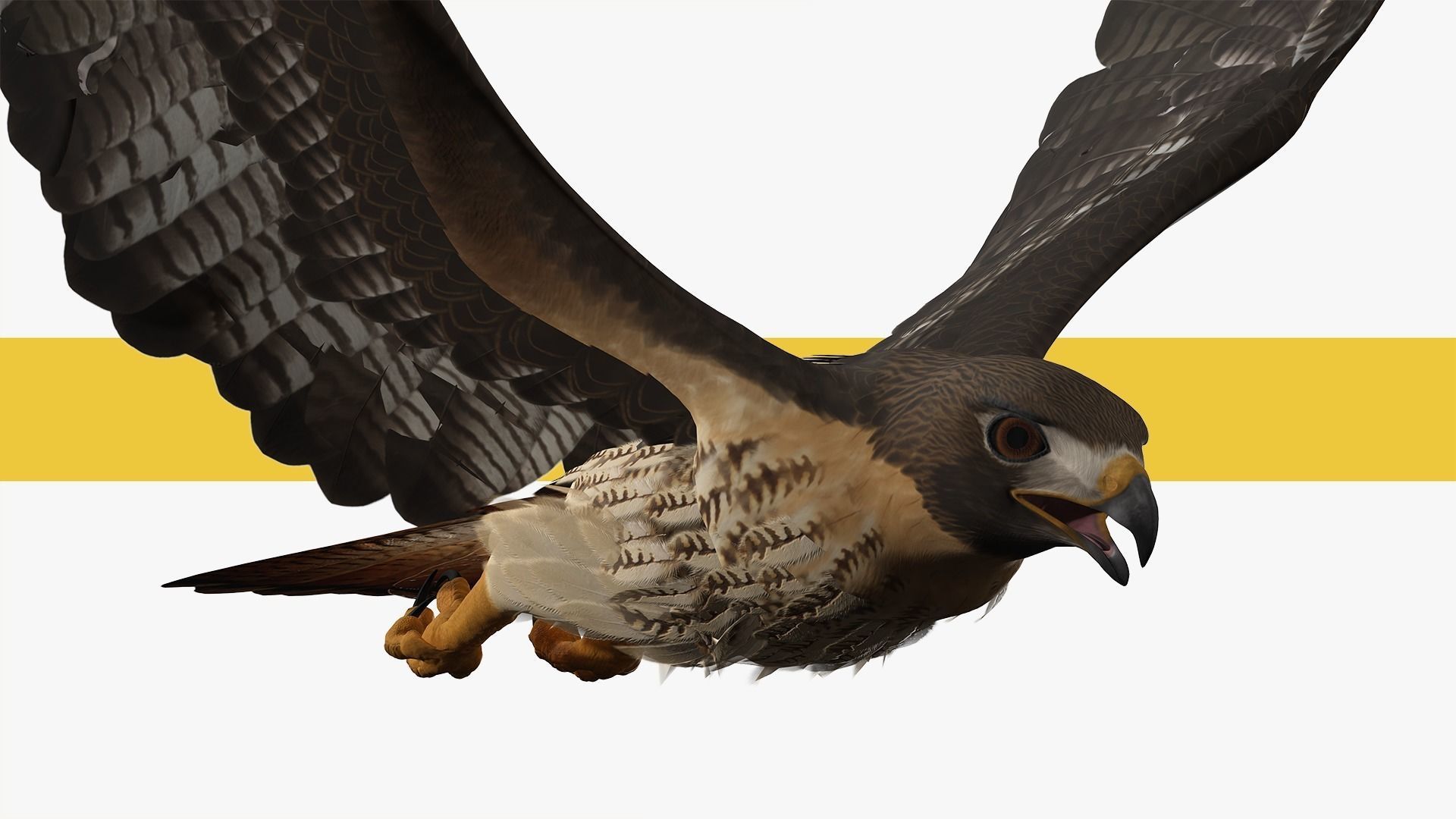 Stunning 3D Model of a Majestic Falcon Wildlife Enthusiasts Low-poly 3D model_9