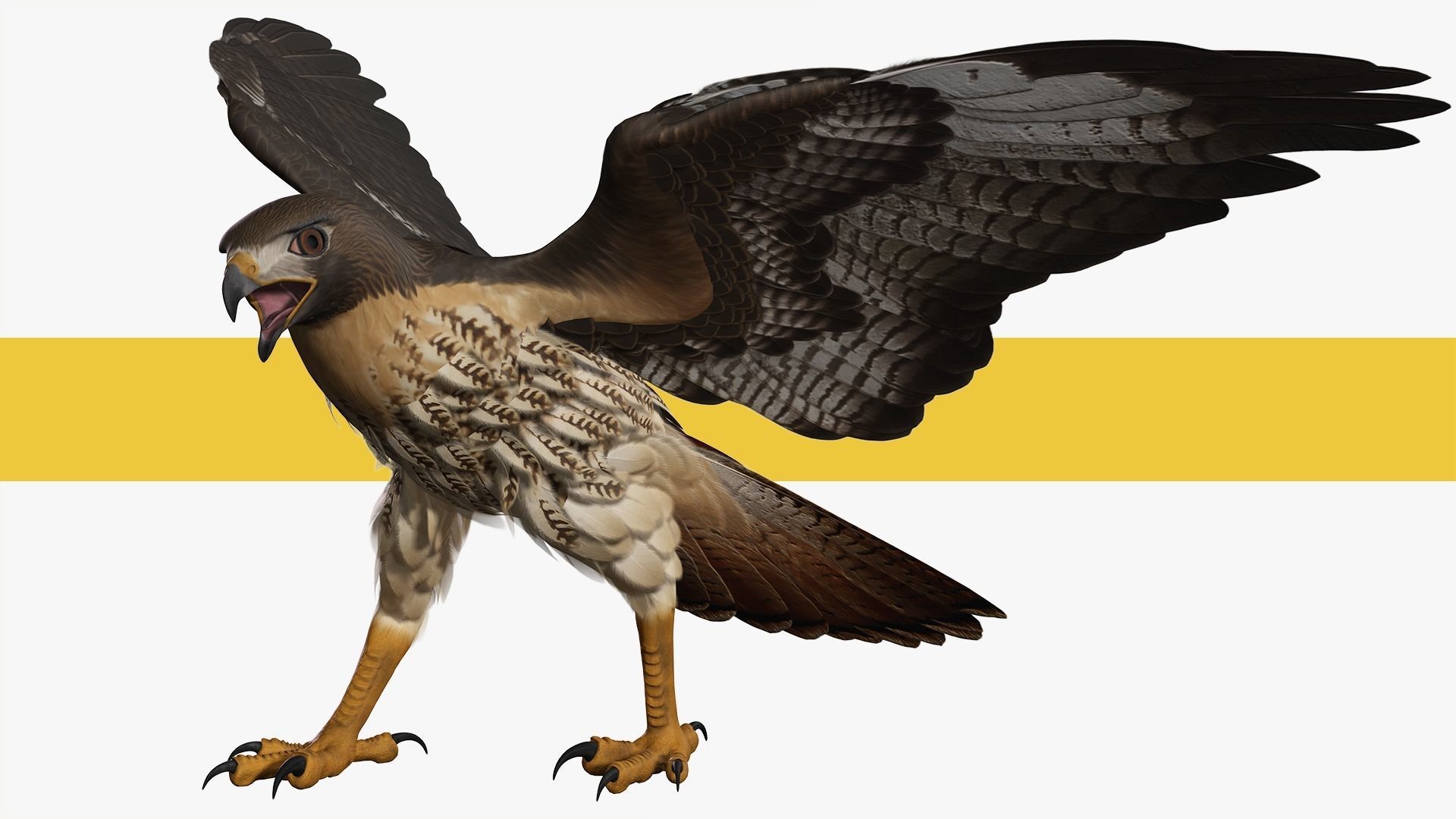 Stunning 3D Model of a Majestic Falcon Wildlife Enthusiasts Low-poly 3D model_6