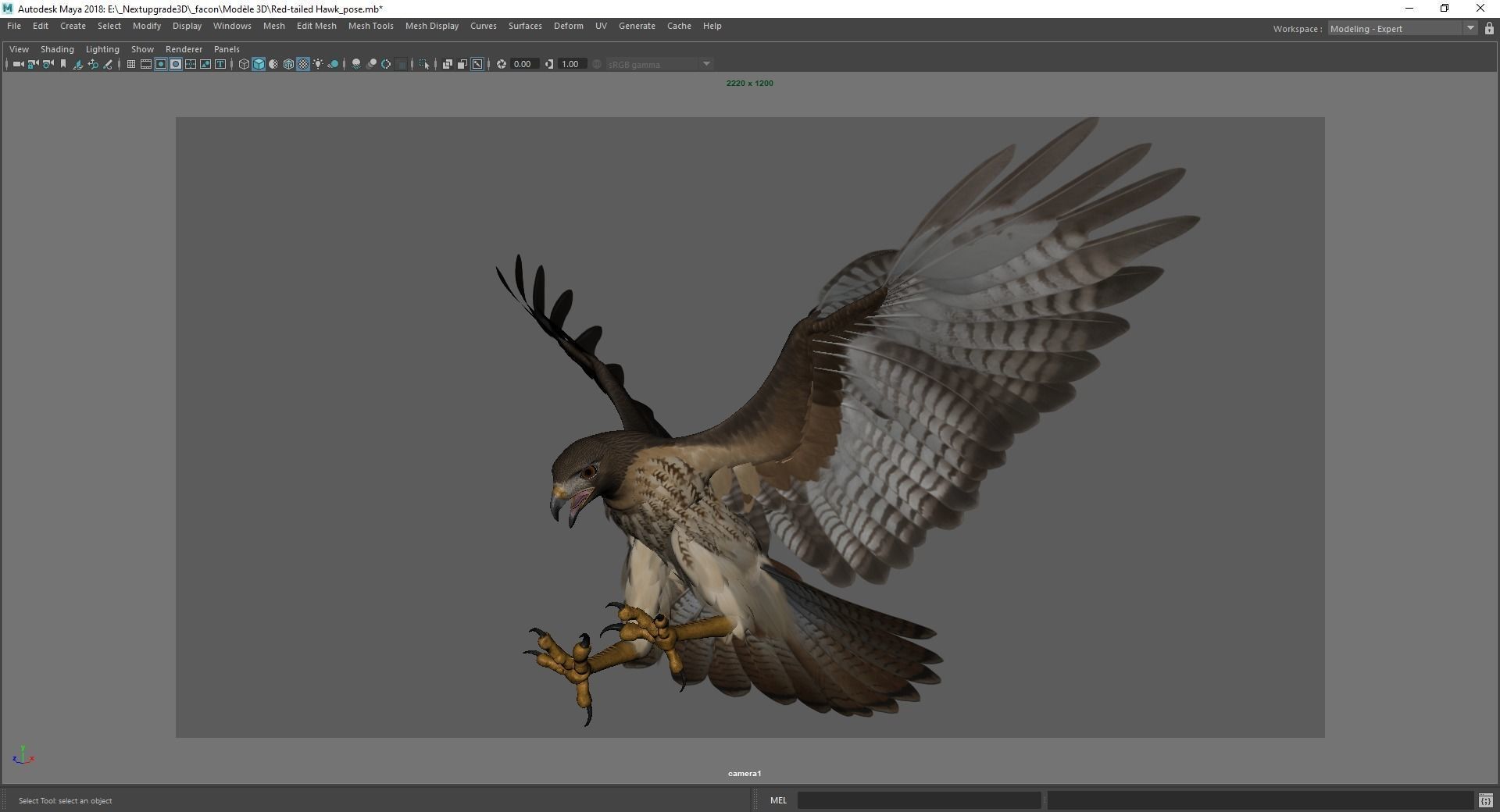 Stunning 3D Model of a Majestic Falcon Wildlife Enthusiasts Low-poly 3D model_16