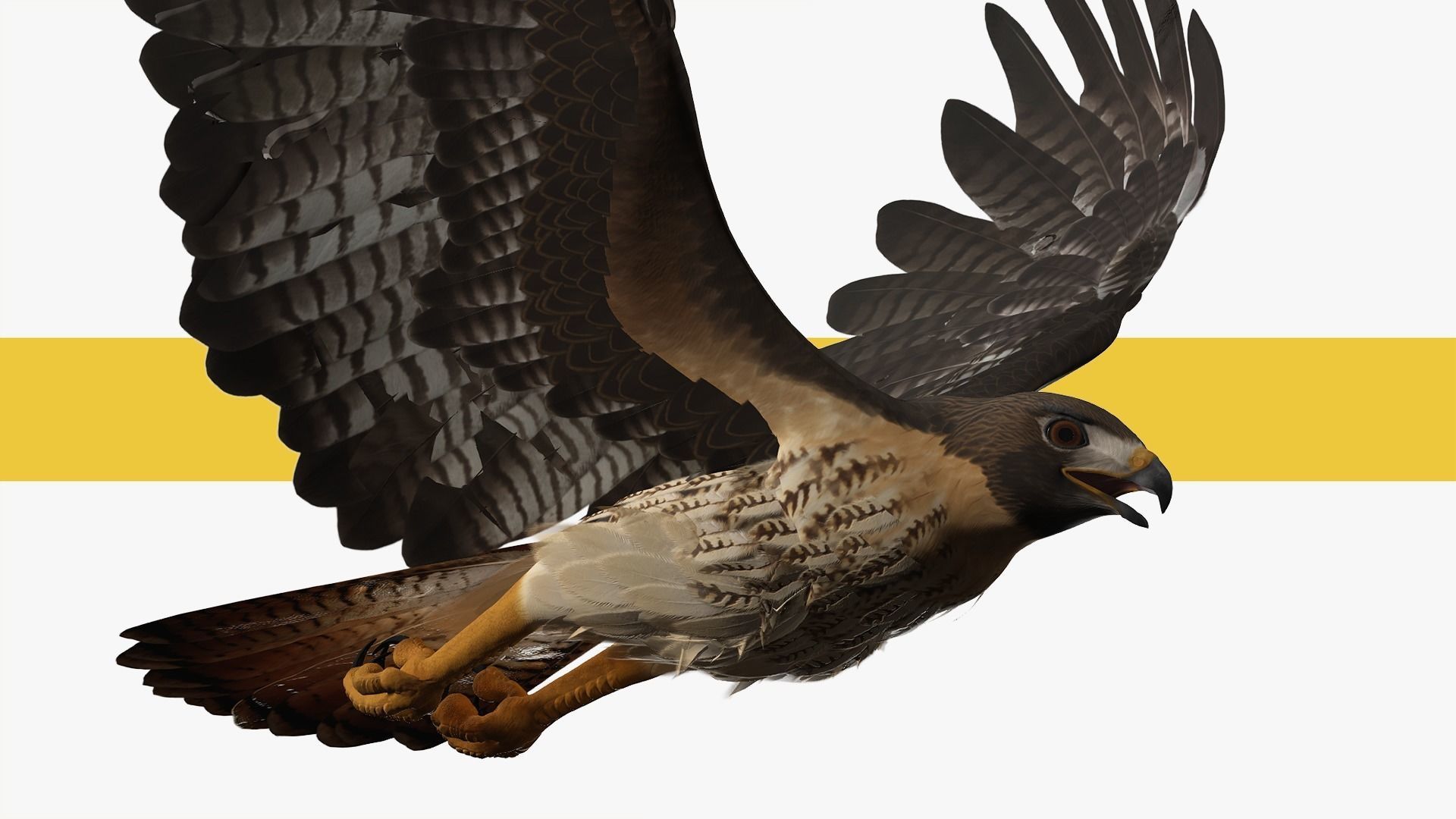 Stunning 3D Model of a Majestic Falcon Wildlife Enthusiasts Low-poly 3D model_11