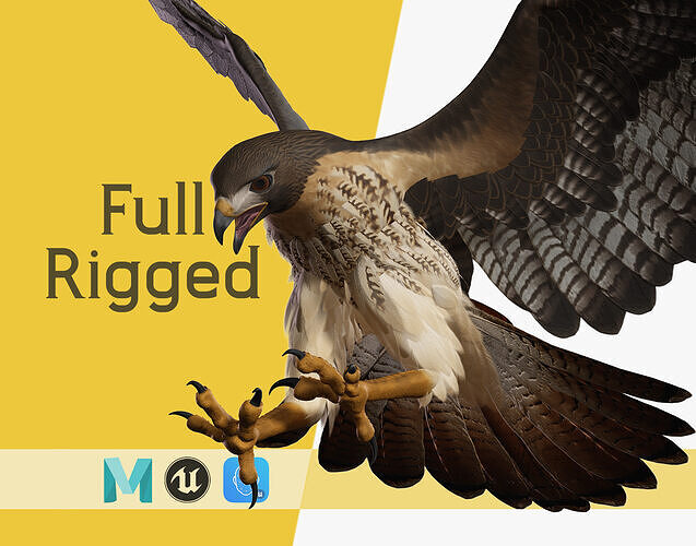 Stunning 3D Model of a Majestic Falcon Wildlife Enthusiasts Low-poly 3D model