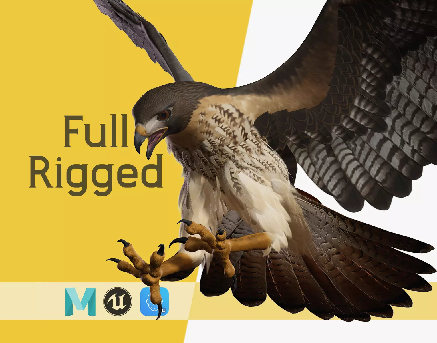 Stunning 3D Model of a Majestic Falcon Wildlife Enthusiasts Low-poly 3D model_0