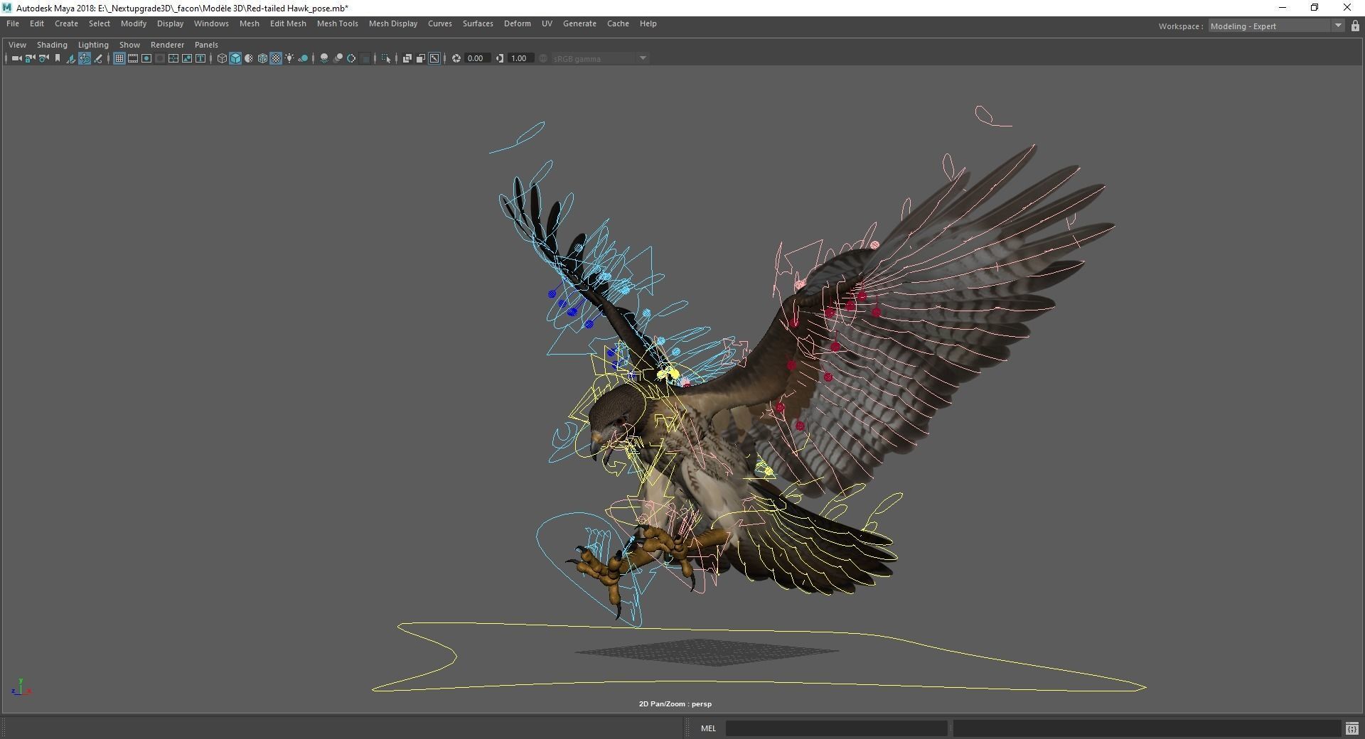 Stunning 3D Model of a Majestic Falcon Wildlife Enthusiasts Low-poly 3D model_18