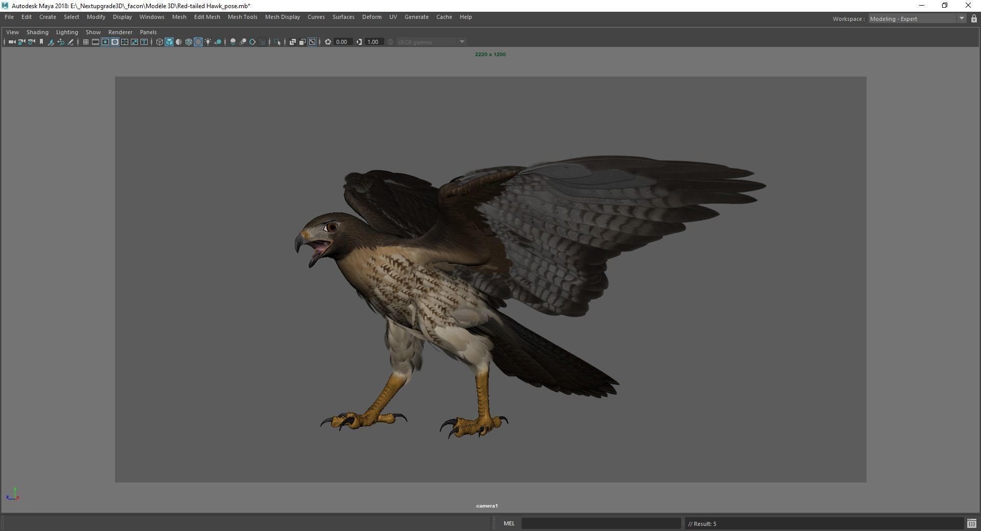 Stunning 3D Model of a Majestic Falcon Wildlife Enthusiasts Low-poly 3D model_20