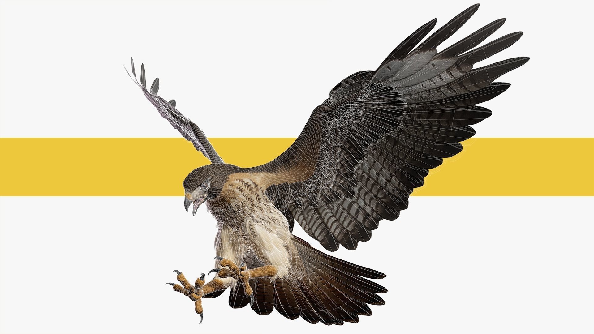 Stunning 3D Model of a Majestic Falcon Wildlife Enthusiasts Low-poly 3D model_2