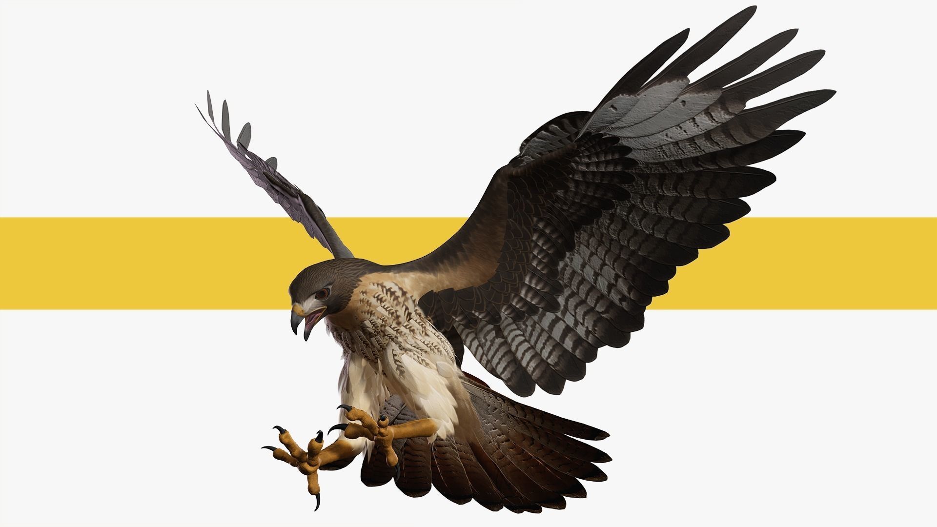 Stunning 3D Model of a Majestic Falcon Wildlife Enthusiasts Low-poly 3D model_1