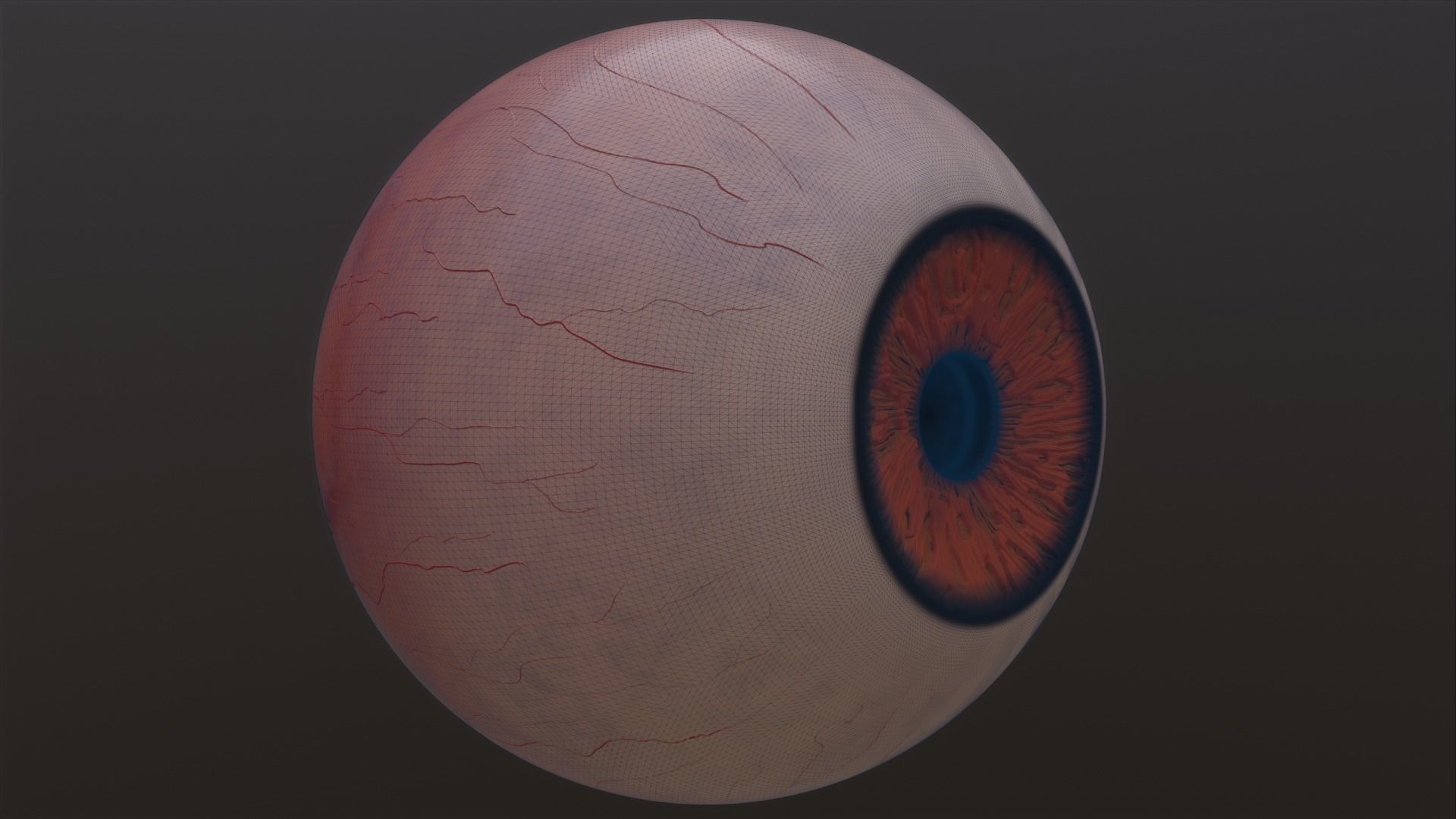 Brown-yellow-green Low-poly 3D model orange eye Low-poly 3D model_10