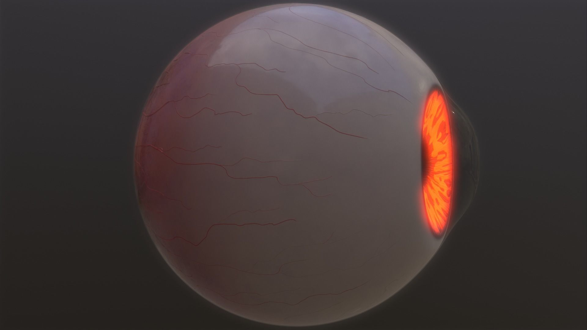 Brown-yellow-green Low-poly 3D model orange eye Low-poly 3D model_4