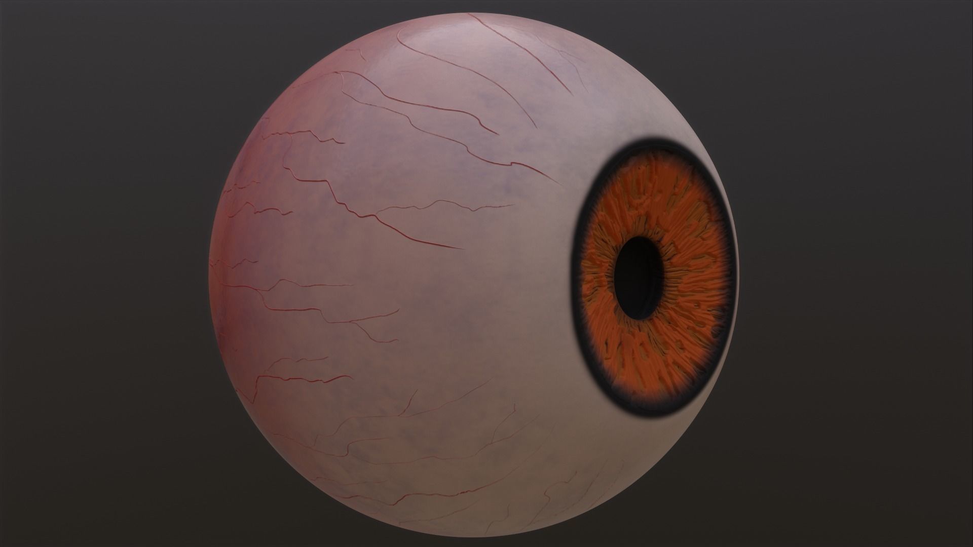 Brown-yellow-green Low-poly 3D model orange eye Low-poly 3D model_5