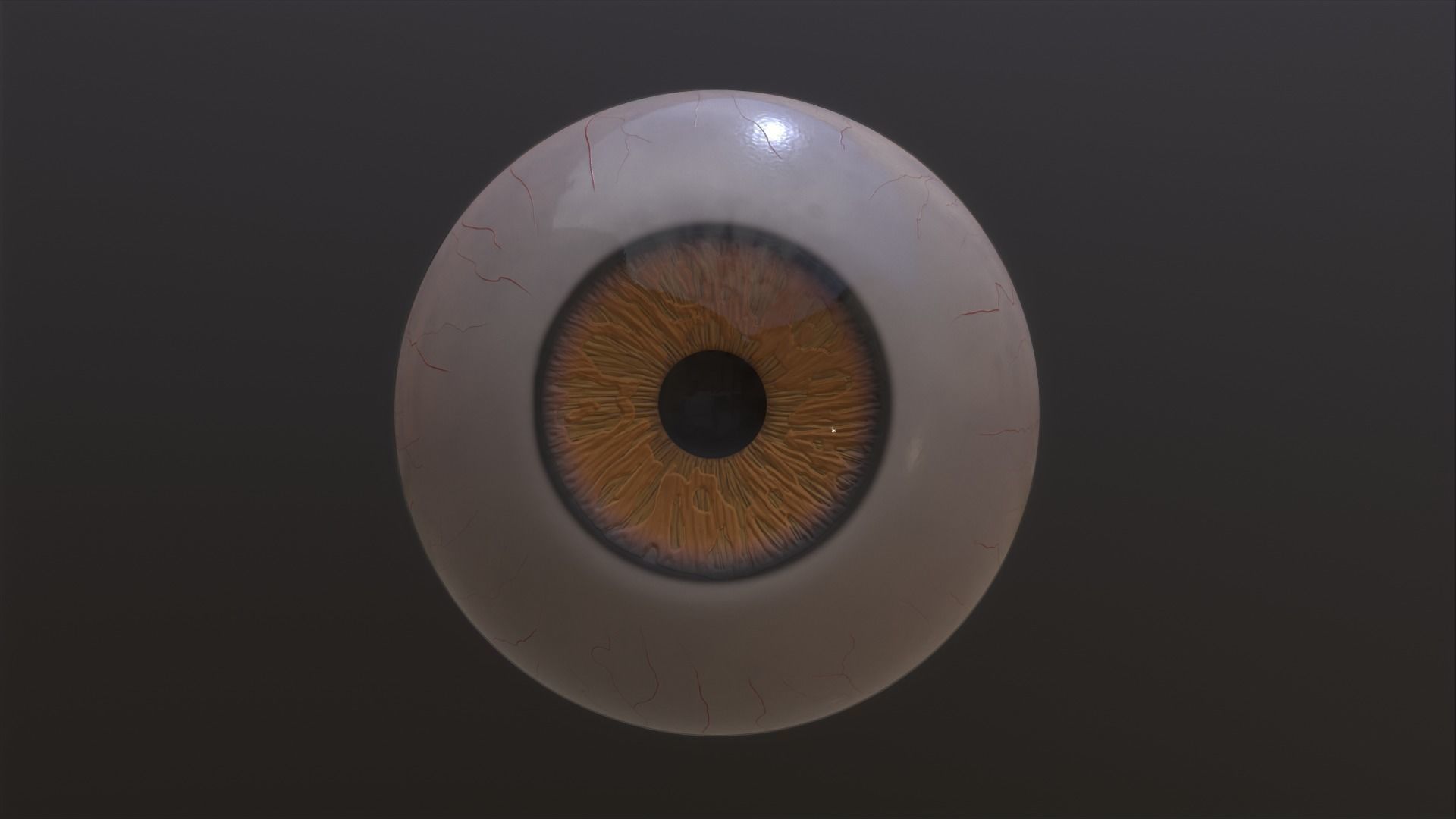 Brown-yellow-green Low-poly 3D model orange eye Low-poly 3D model_1