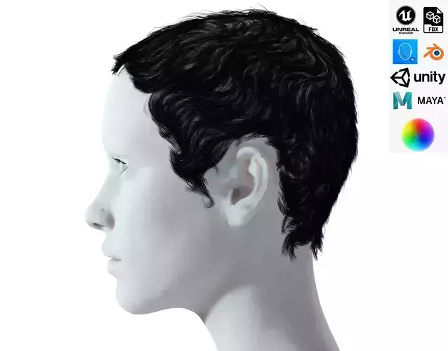 Realistic Female hair afro Low-poly 3D model
