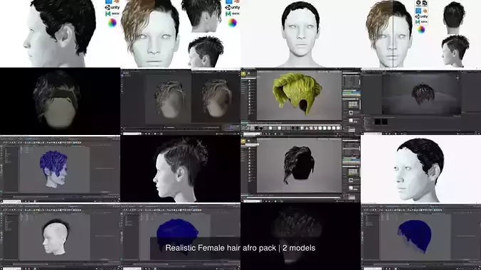 Realistic Female hair afro pack 3D Model Collection