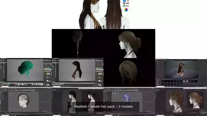 Realistic Female hair pack  3D Model Collection