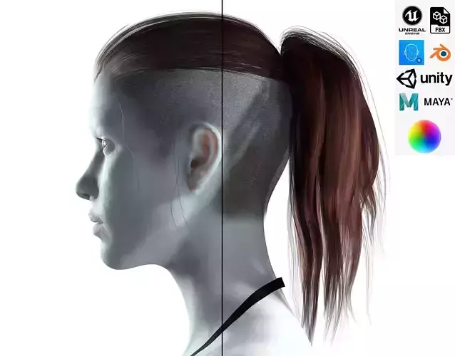 Realistic Female hair tail  Low-poly 3D model