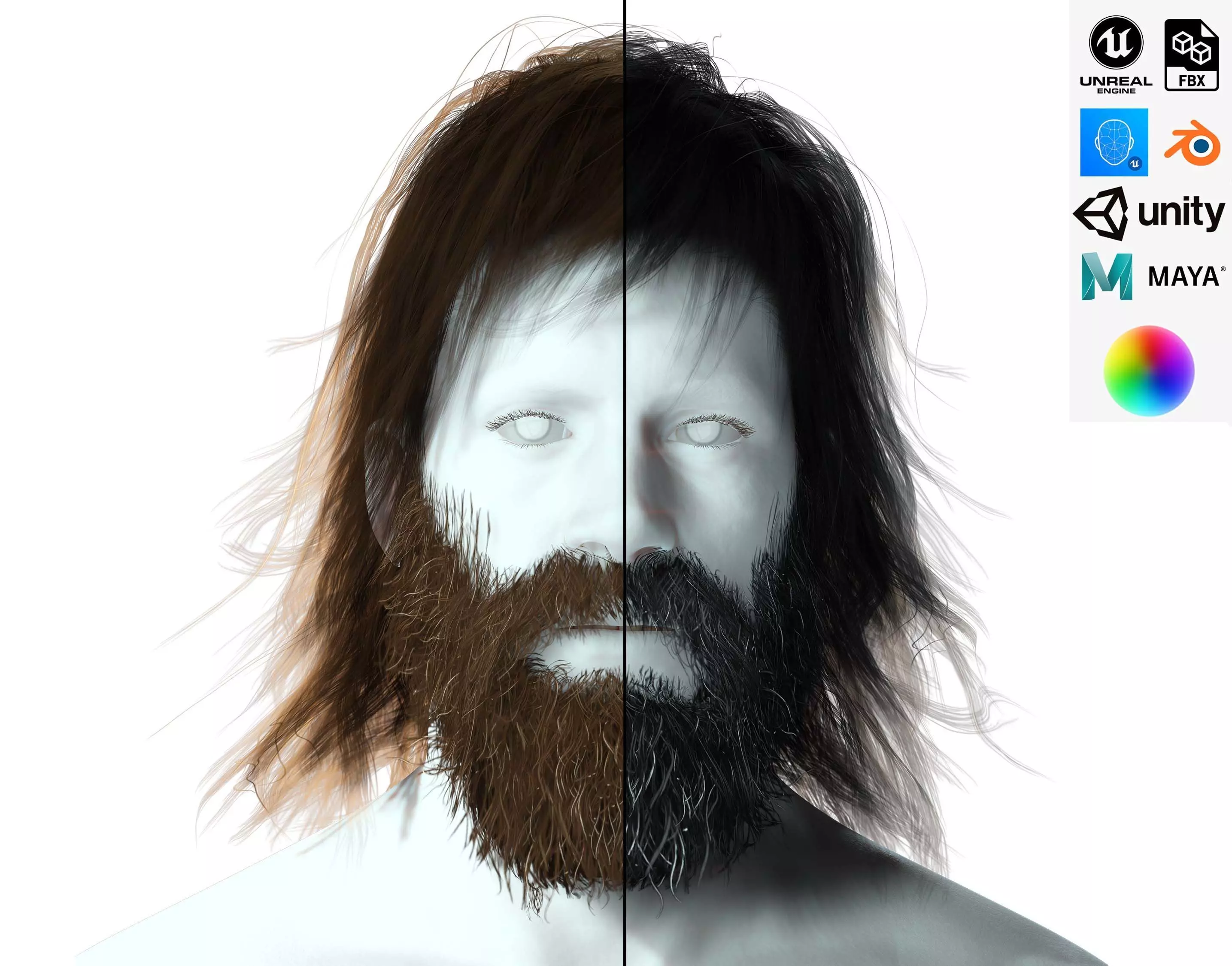 Realistic Hair Beard brows mustache Low-poly 3D model_0