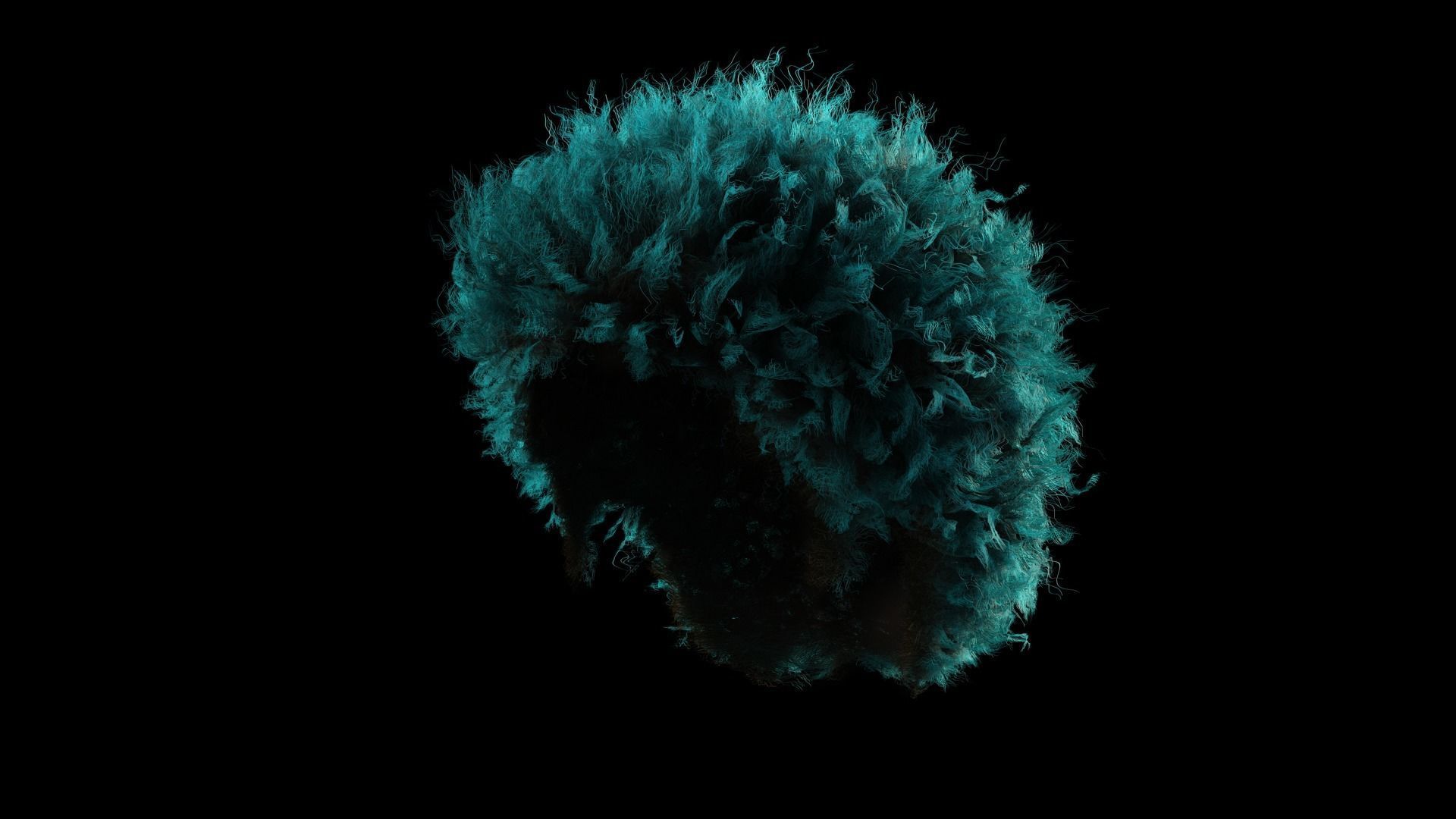 Realistic Hair afro Low-poly 3D model_8