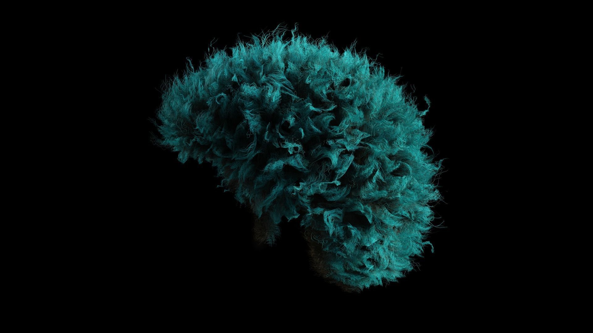 Realistic Hair afro Low-poly 3D model_9