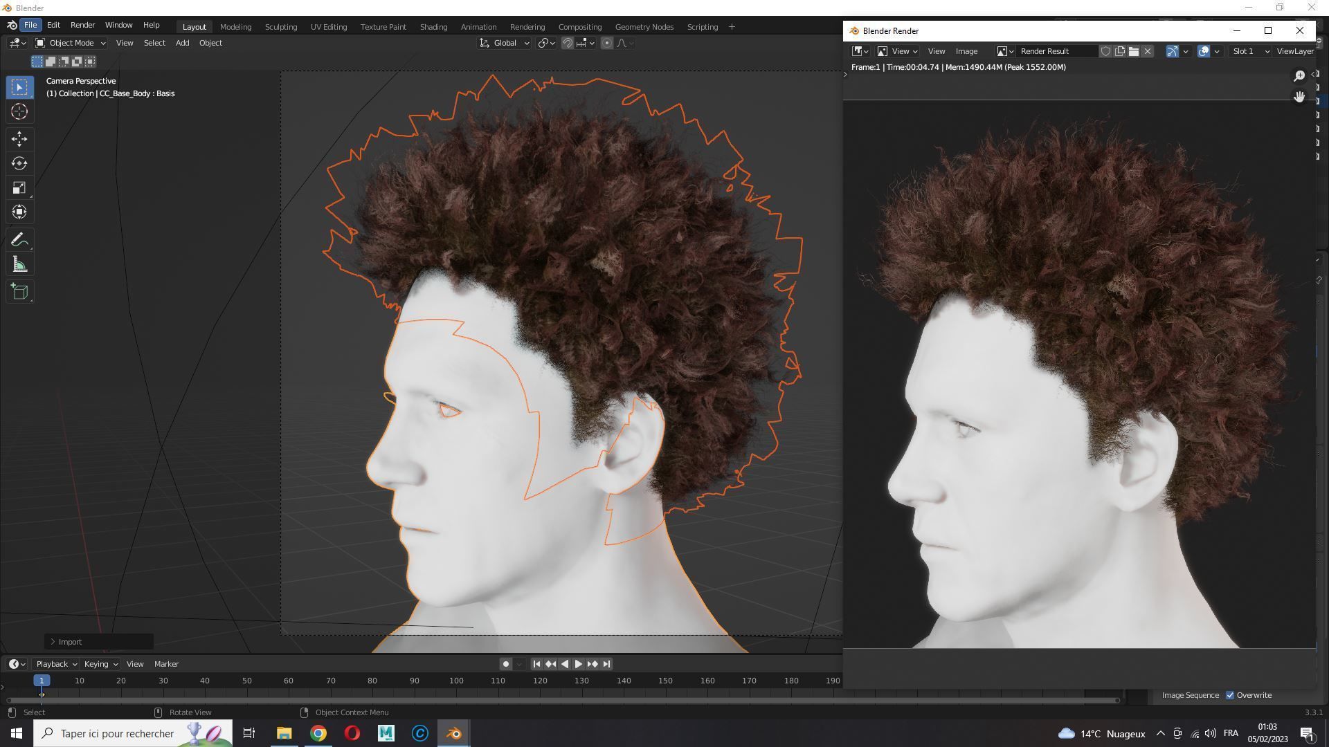 Realistic Hair afro Low-poly 3D model_14