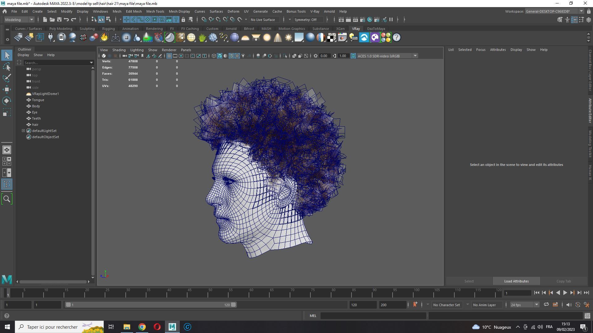 Realistic Hair afro Low-poly 3D model_17