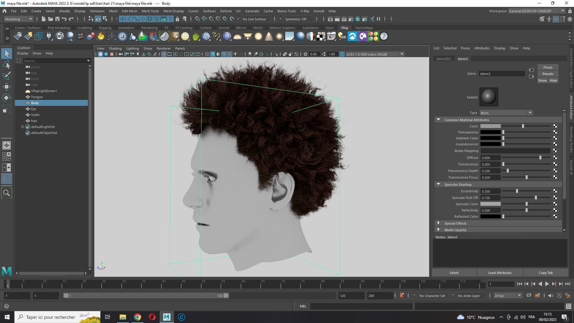 Realistic Hair afro Low-poly 3D model_18
