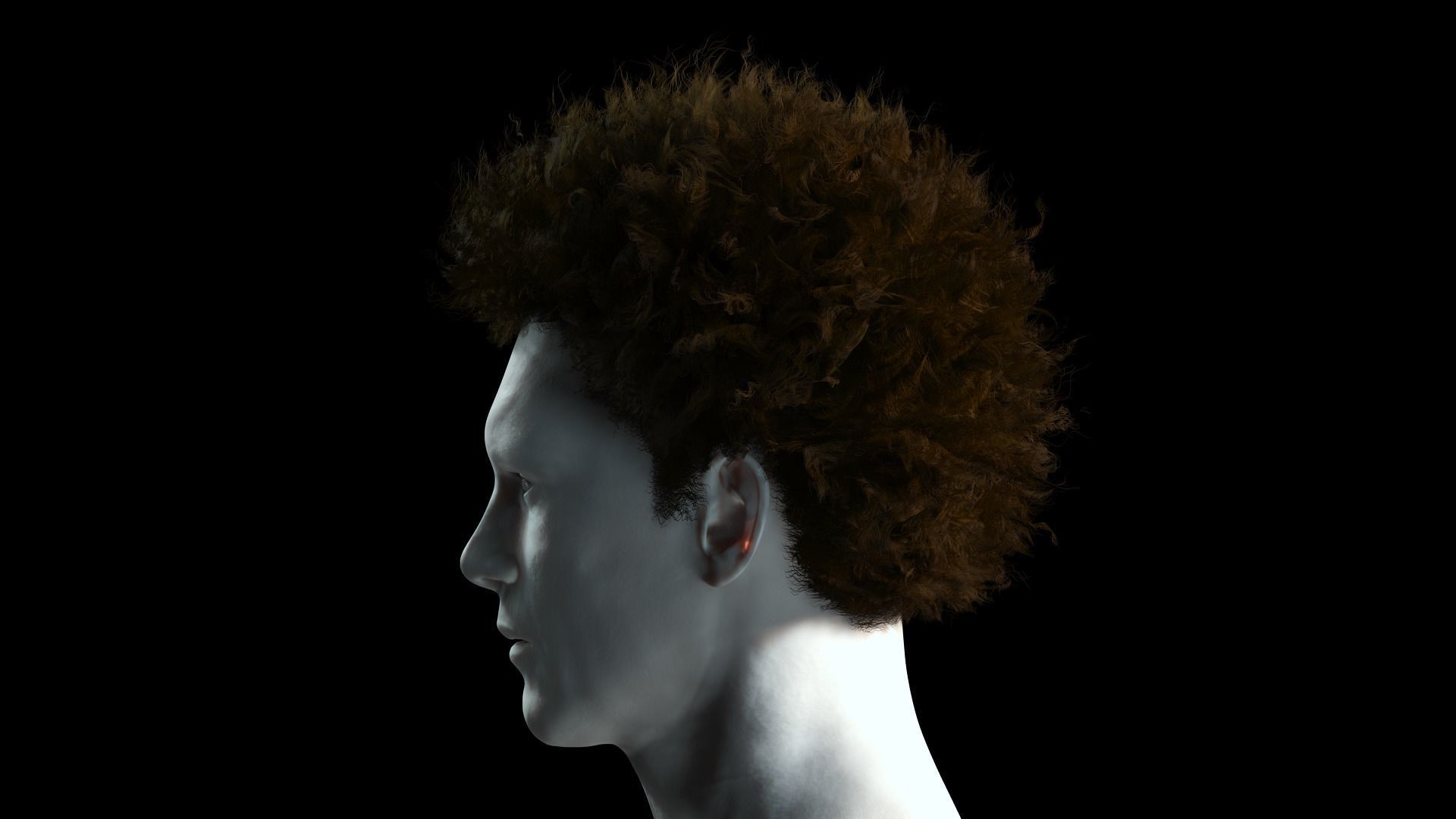 Realistic Hair afro Low-poly 3D model_4