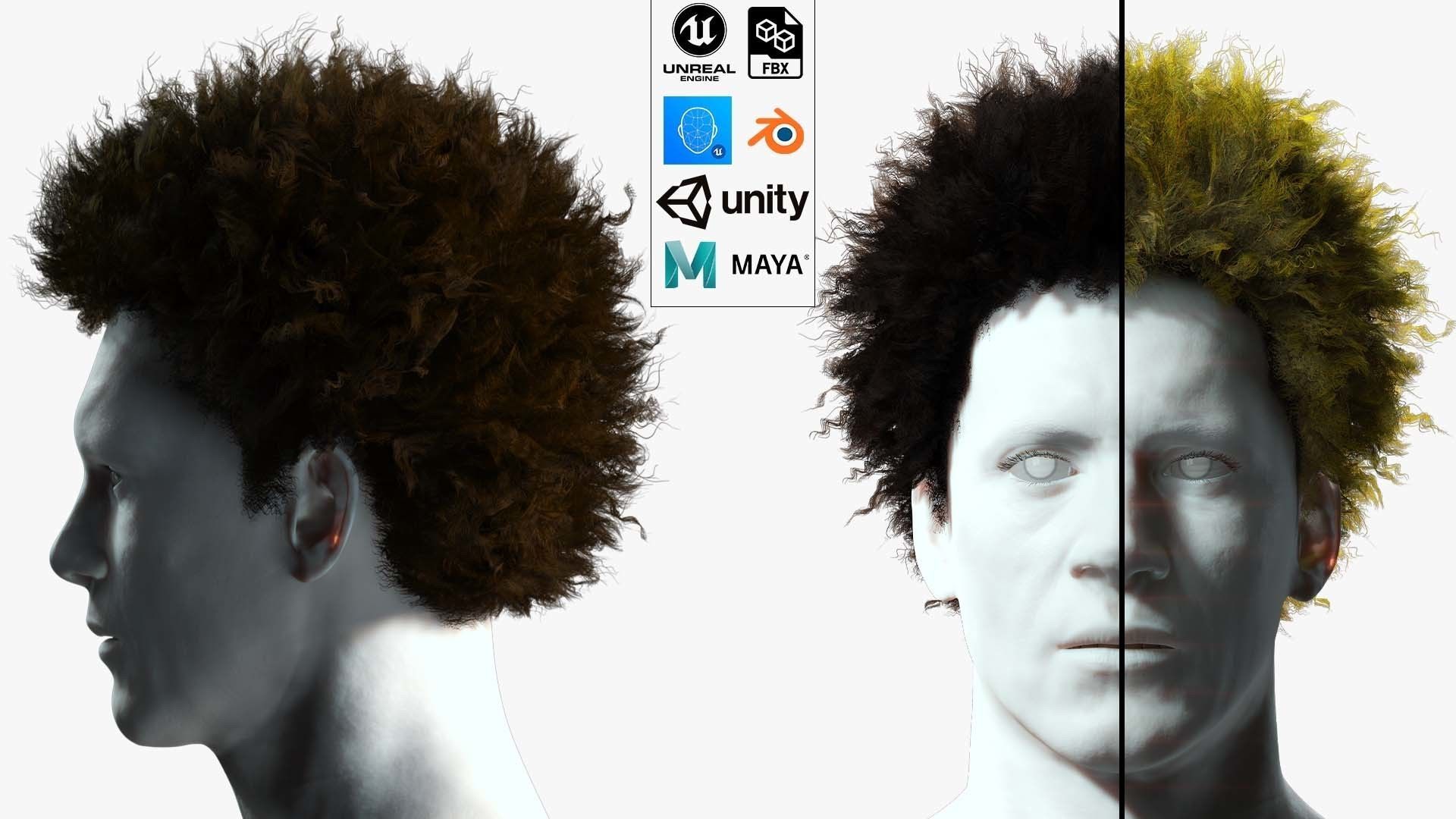 Realistic Hair afro Low-poly 3D model_1