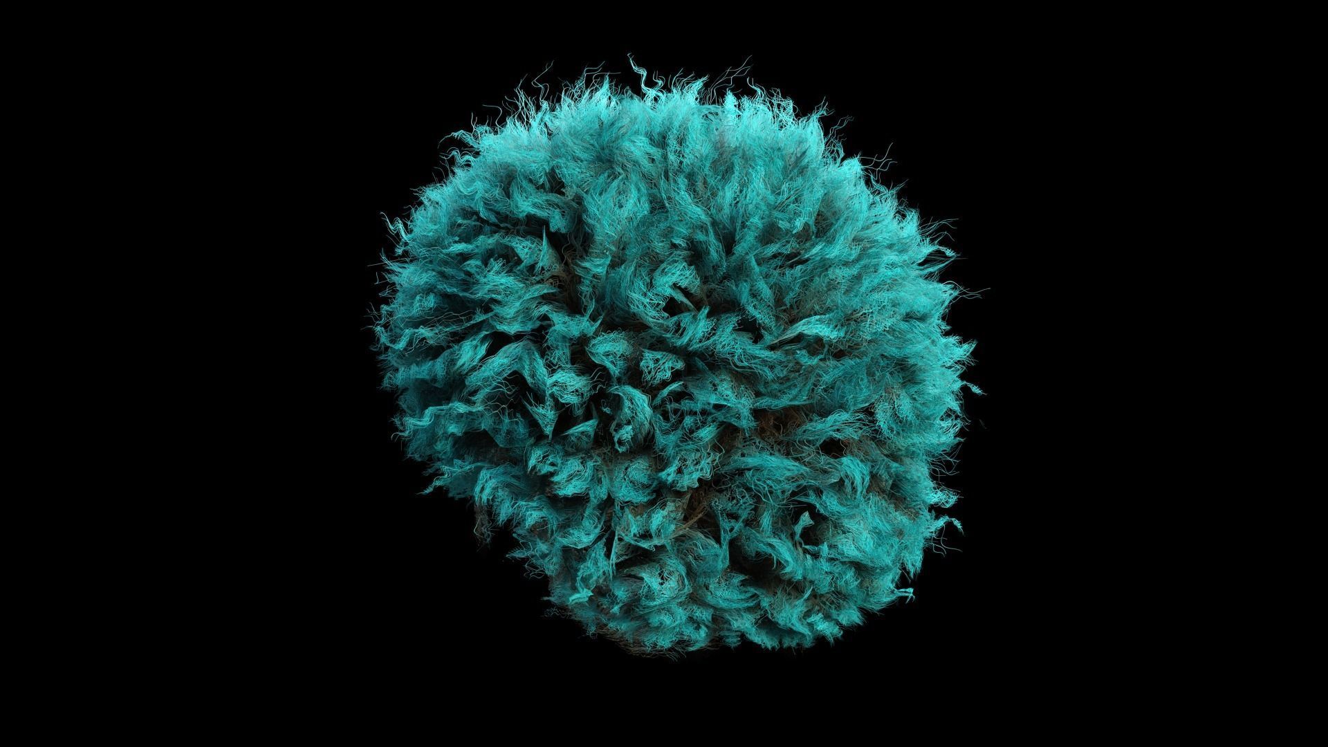 Realistic Hair afro Low-poly 3D model_10