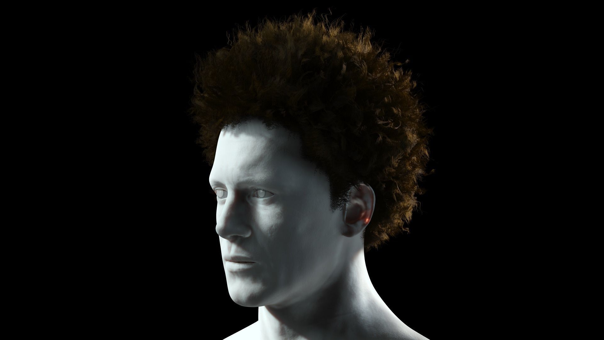 Realistic Hair afro Low-poly 3D model_3