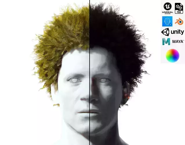 Realistic Hair afro Low-poly 3D model