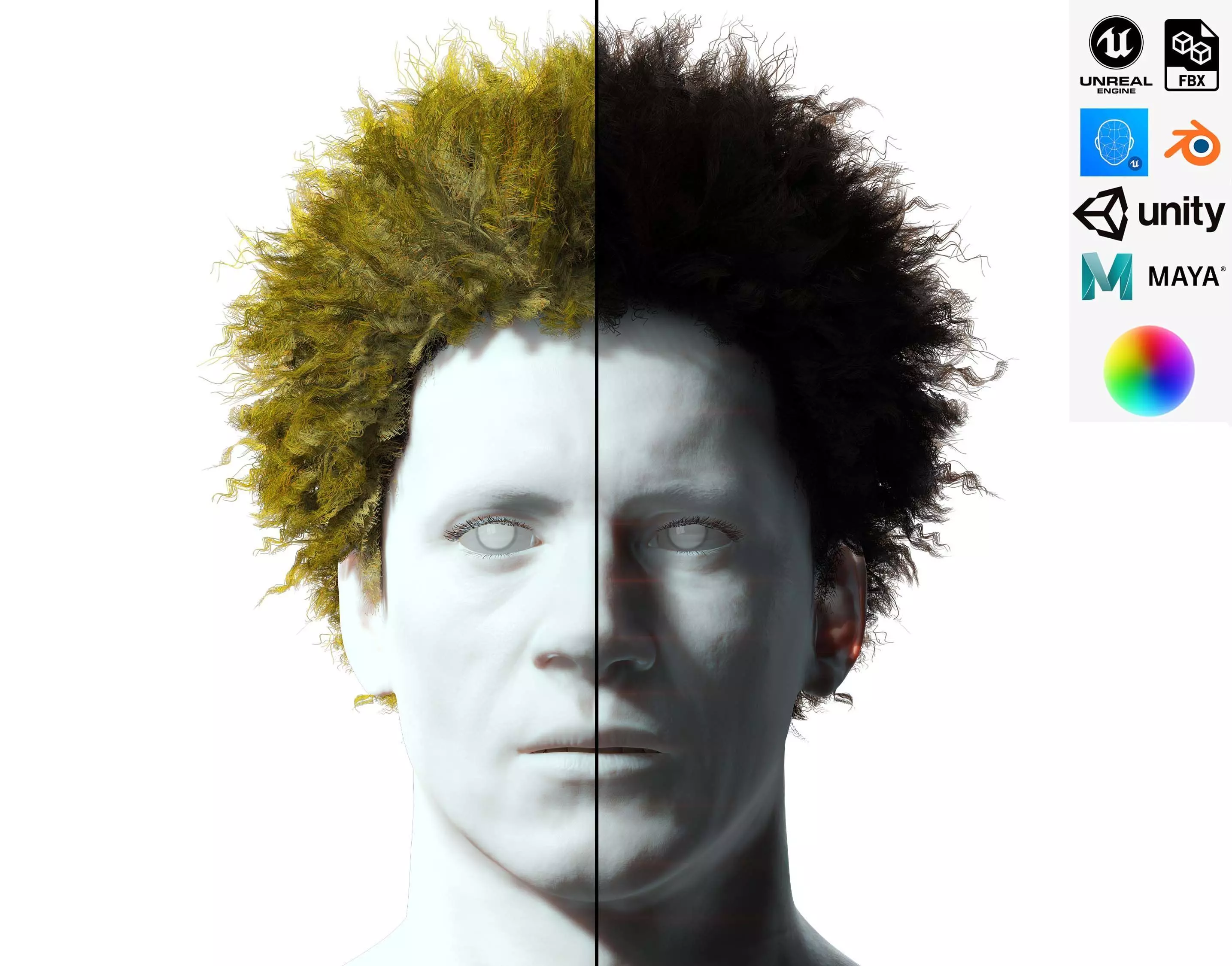 Realistic Hair afro Low-poly 3D model_0