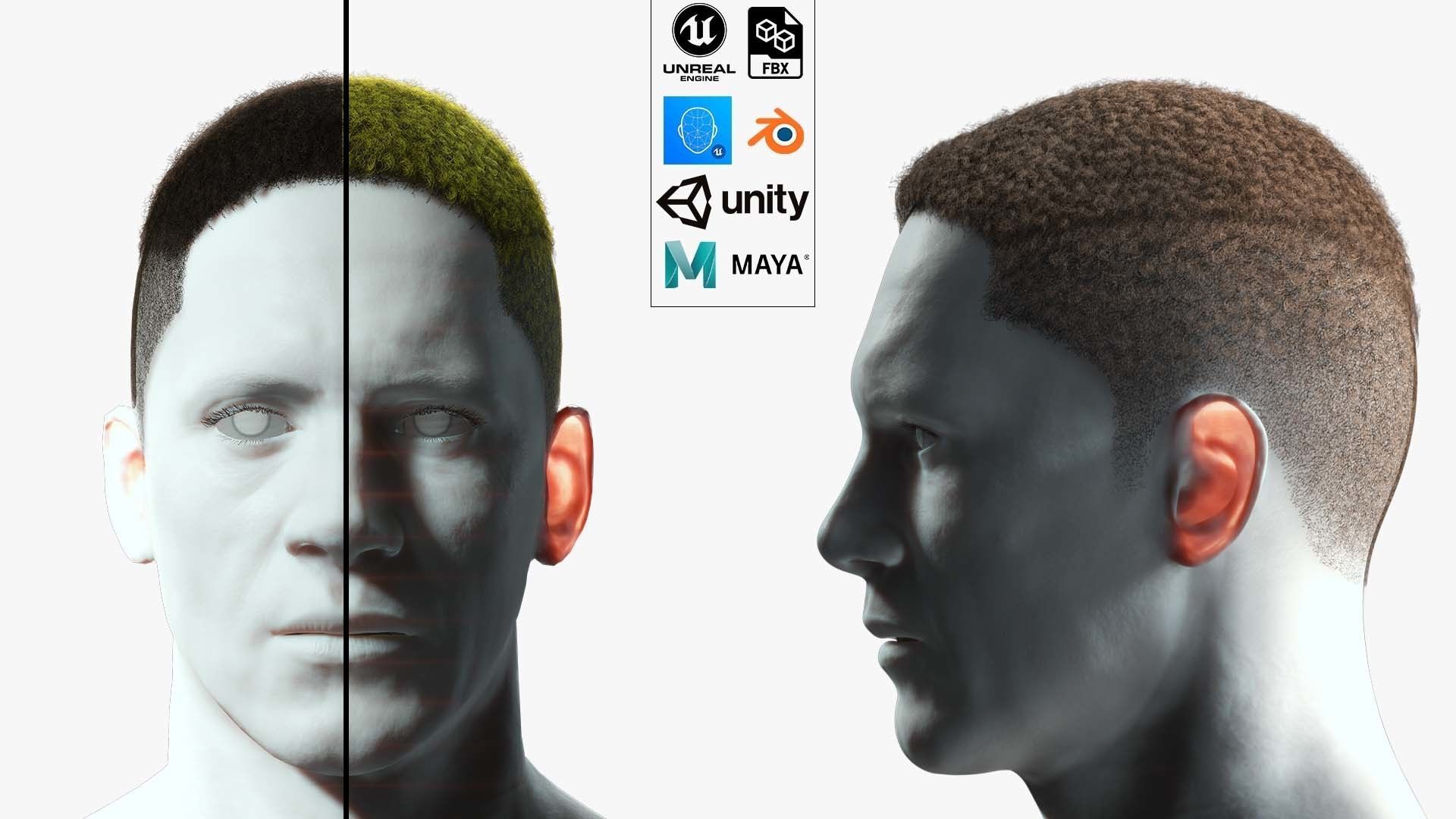 Realistic Hair male Low-poly 3D model_1