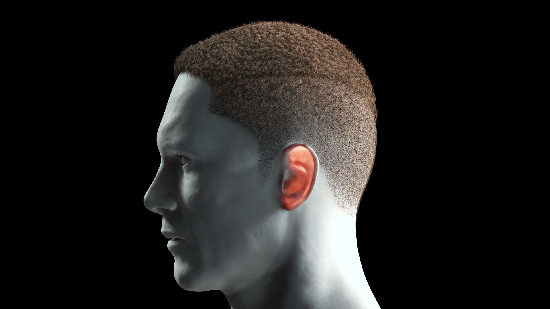 Realistic Hair male Low-poly 3D model_6