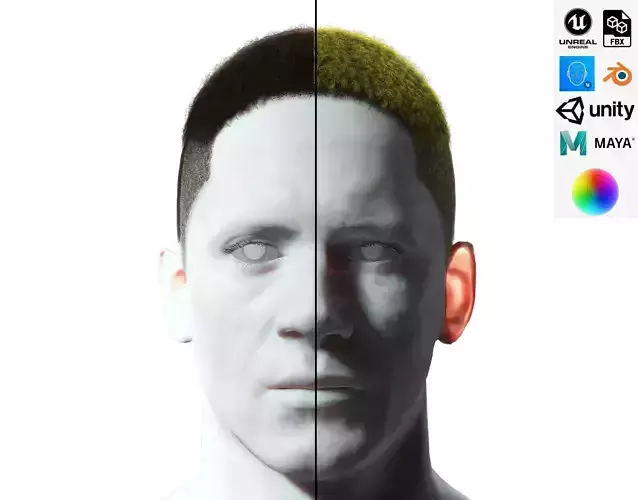 Realistic Hair male Low-poly 3D model