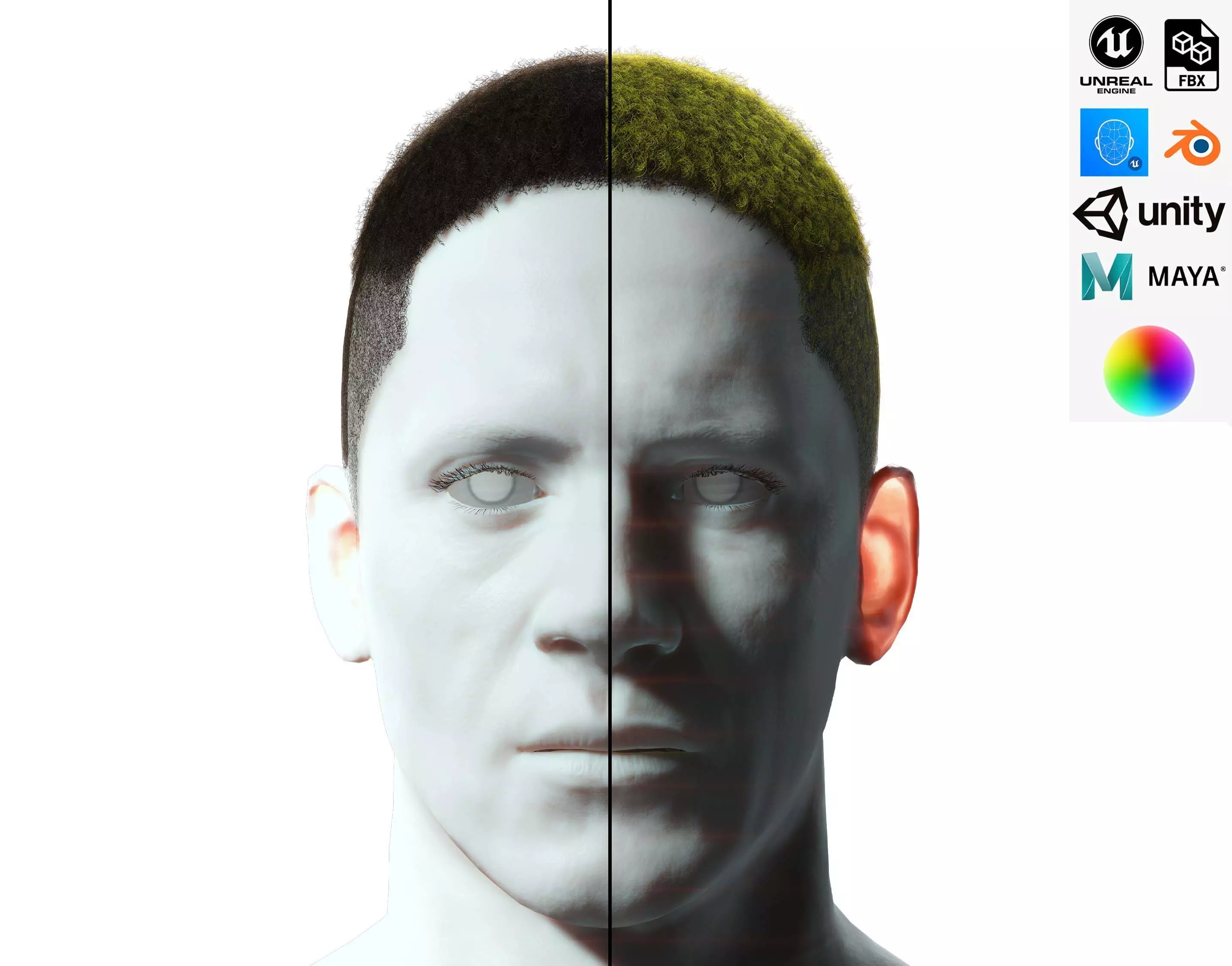 Realistic Hair male Low-poly 3D model_0