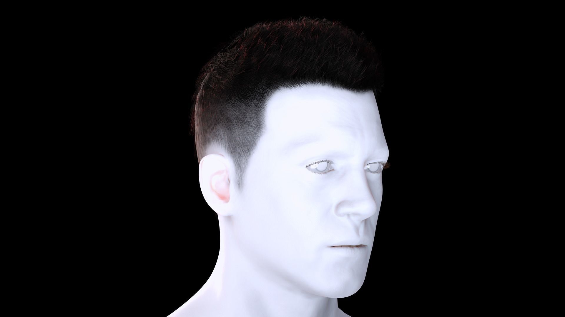 Realistic Hair hawk Low-poly 3D model_3