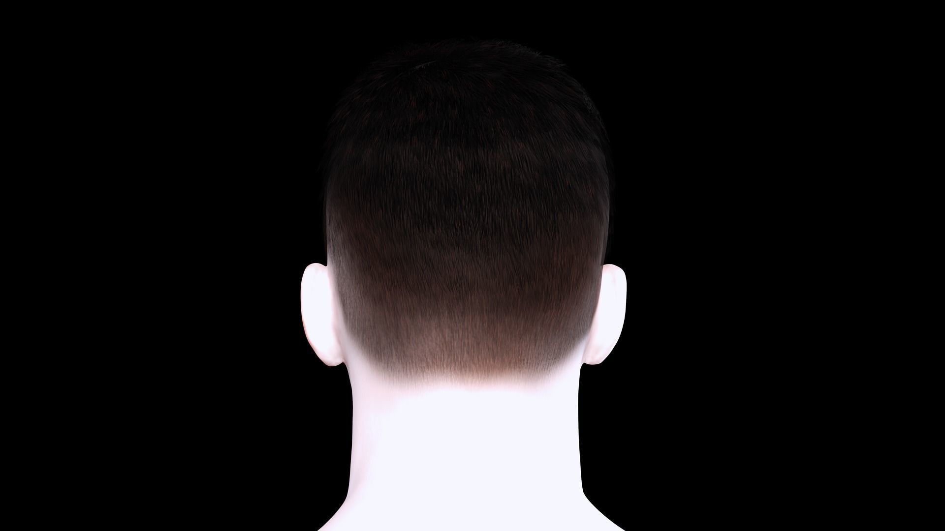 Realistic Hair hawk Low-poly 3D model_5