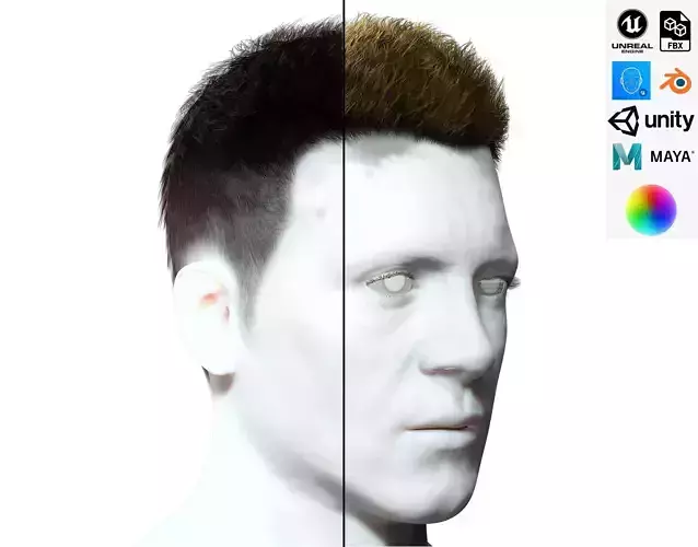 Realistic Hair hawk Low-poly 3D model
