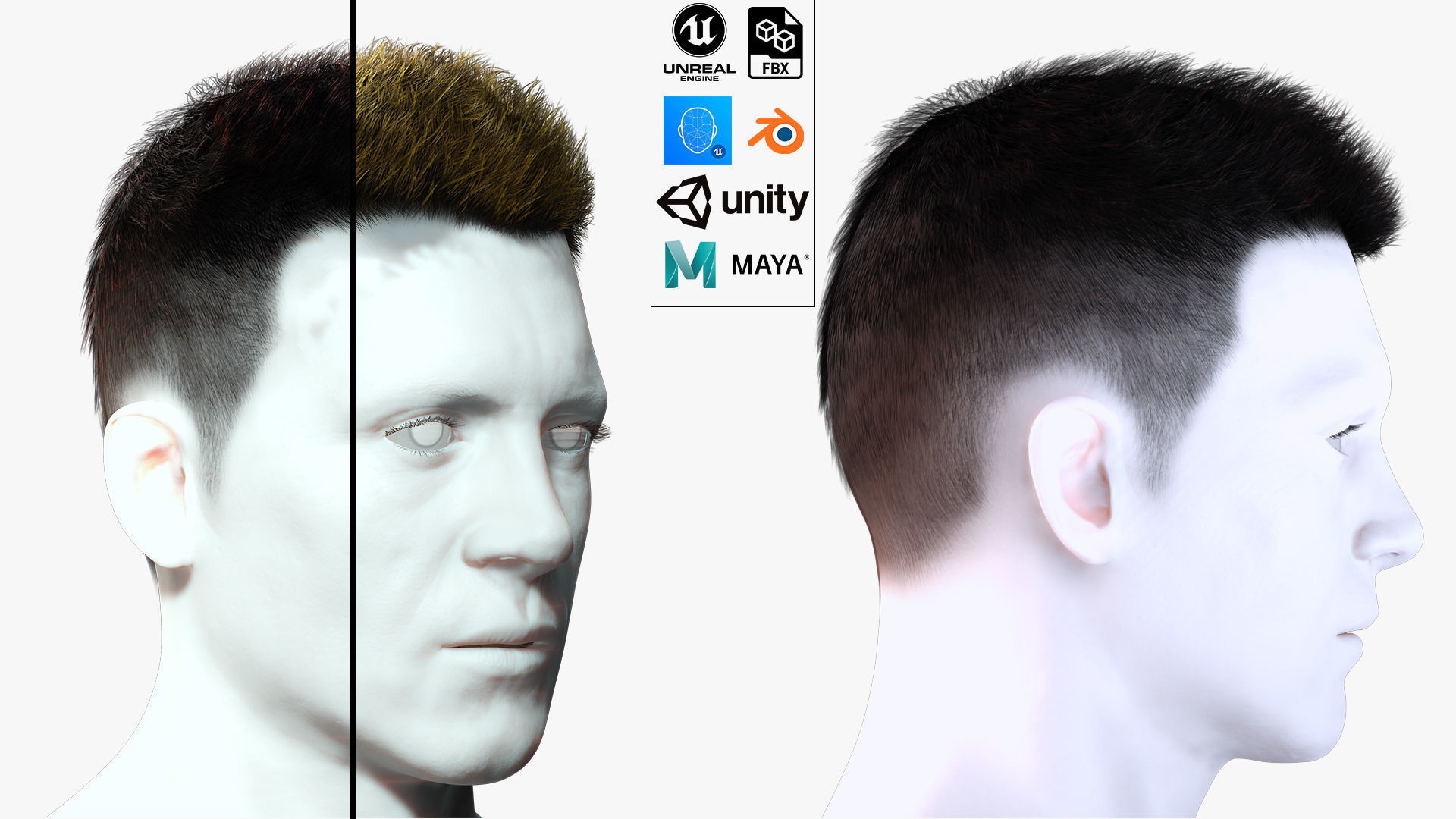 Realistic Hair hawk Low-poly 3D model_1